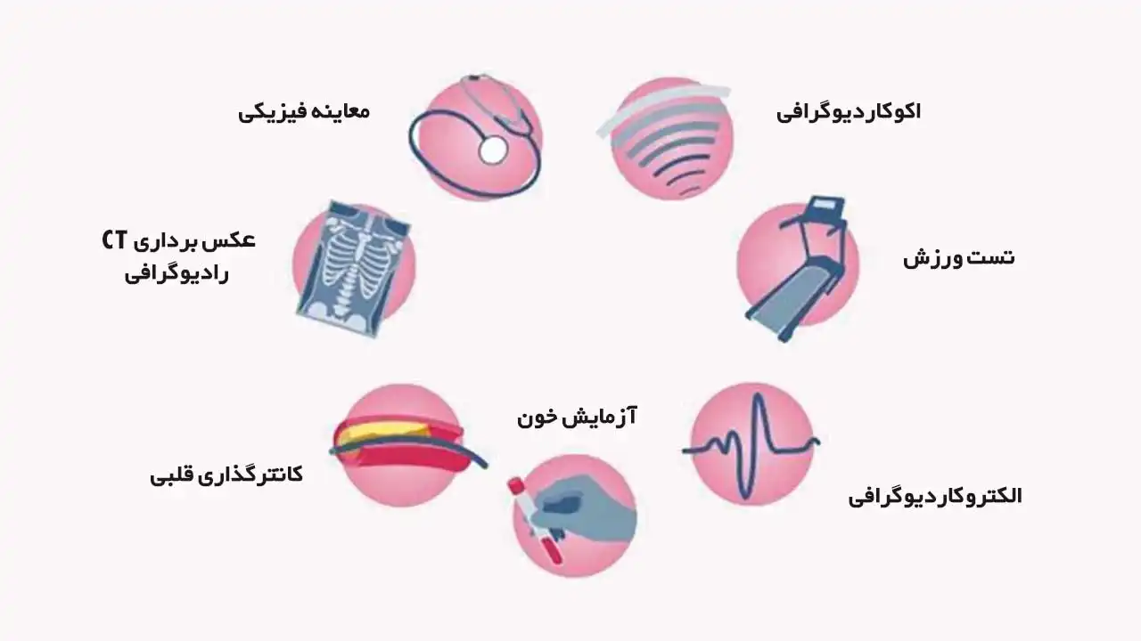 ارزیابی سلامت قلب قبل از جراحی؛ چطور دکتر ایمان پورغلامی ریسک عمل شما را کاهش می‌دهد 